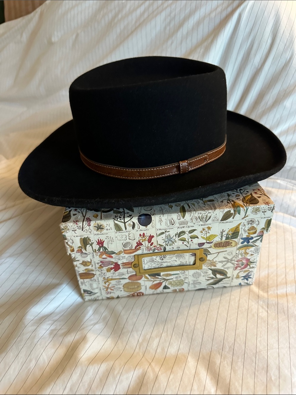 Irvine Park - Black 100% Wool Rancher Hat with Leather Strap Detail - M